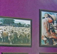 Charleville Photographic Display - Stayed
