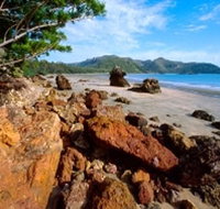 Diversity Boardwalk - Stayed