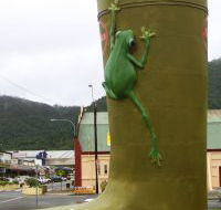 Golden Gumboot - Stayed