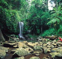 Tamborine National Park - Stayed