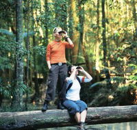 Birdwatching on the Fraser Coast - Stayed