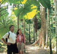 Licuala State Forest - Stays Accommodation