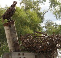Blackall Sculpture Trail - Stayed