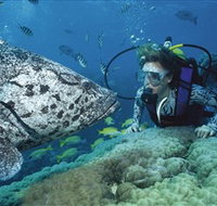 Pelorus Island - Stayed