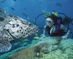 Pelorus Island - Stayed 0