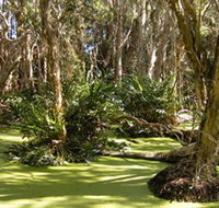 Arkarra Lagoons and Tea Gardens - Stayed