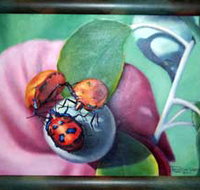 Kingaroy Shire Art Gallery - Stayed