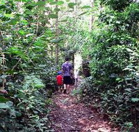 Malanda Falls Rainforest Walk Malanda Falls Conservation Park - Stayed