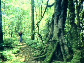 Mt Superbus - Stayed 0