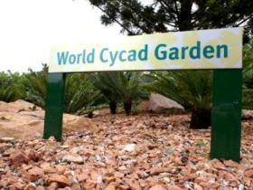 Mundingburra QLD Stayed