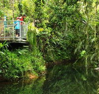 Djiru National Park - Stays Accommodation