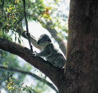 Daisy Hill Conservation Park - Stayed