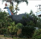 The Big Cassowary - Stays Accommodation