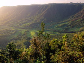 Pine Grove Circuit - Stayed 0