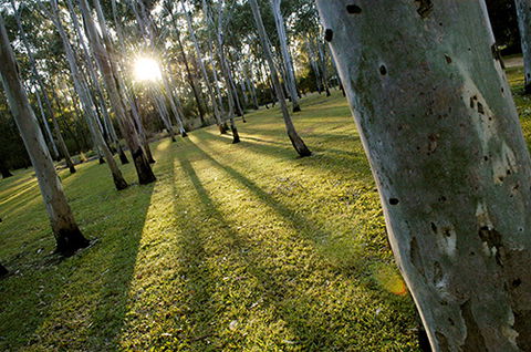 Tondoon Botanic Gardens - Stayed 0