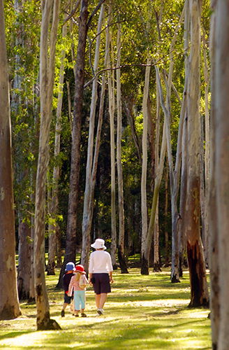 Tondoon Botanic Gardens - Stayed 3
