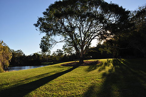Tondoon Botanic Gardens - Stayed 4