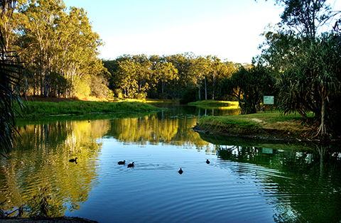 Tondoon Botanic Gardens - Stayed 9