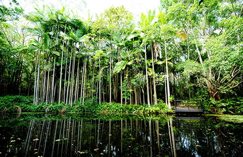 Tondoon Botanic Gardens - Stayed 11
