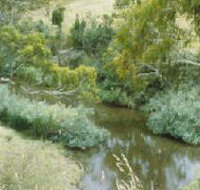 Yarrambat Park - Stays Accommodation