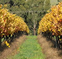 Wild Dog Winery  Restaurant - Stayed
