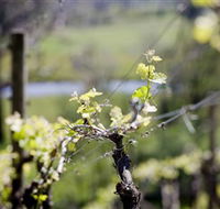 Elan Vineyard and Winery - Stayed