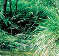 Lerderderg State Park - Stayed