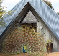 Halls Gap Zoo - Stayed