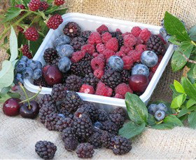 Porepunkah VIC Stayed