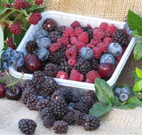 Bright Berry Farms - Stayed