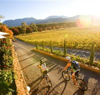 Boyntons Feathertop Winery - Stayed
