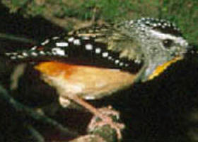 Reef Hills State Park - Stayed 0