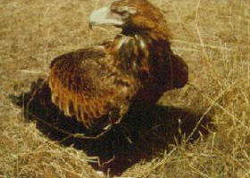 Long Forest Nature Conservation Reserve - Stayed 0