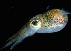 Corner Inlet Marine National Park - Stayed 0