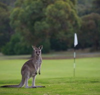 Anglesea Golf Club - Stays Accommodation