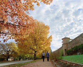 Beechworth Historic Park - Stayed 0