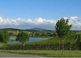 Yarrawood Estate - Stayed 0