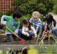 The Ian Potter Foundation Children's Garden - Stayed