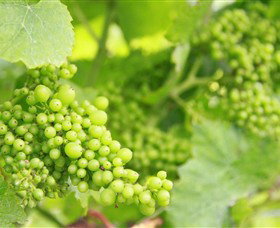 Waratah Hills Vineyard - Stayed 0
