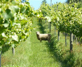 Passing Clouds - Stayed 0