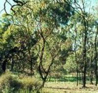 Leaghur State Park - Stayed