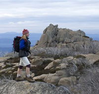 Mount Buffalo National Park - Stayed