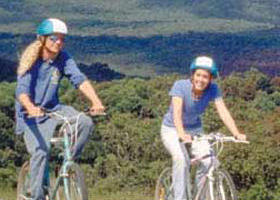 Lysterfield VIC Stayed