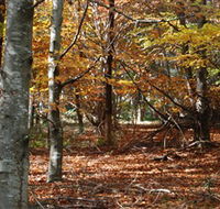 RJ Hamer Arboretum - Stayed