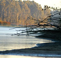 Barmah National Park - Stays Accommodation
