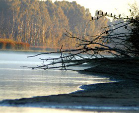 Barmah National Park - Stayed 0