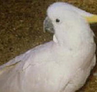 Plenty Gorge Park - Stays Accommodation