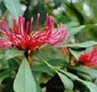 Alfred National Park - Stayed