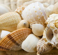 Anglesea Beach Club - Stays Accommodation