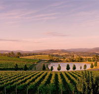 Oakridge Wines - Stayed